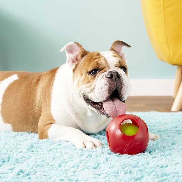 Jolly Pets Teaser Ball