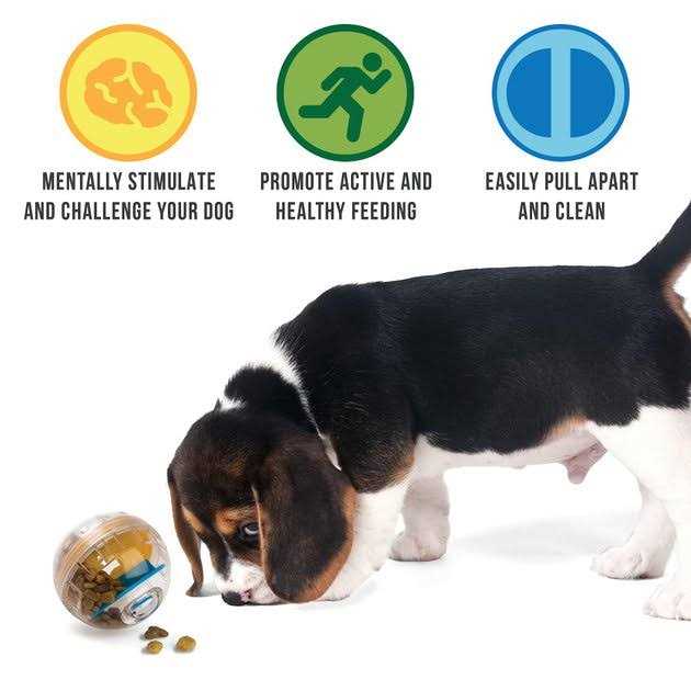 Pet Zone IQ Treat Ball Dog Toy 4