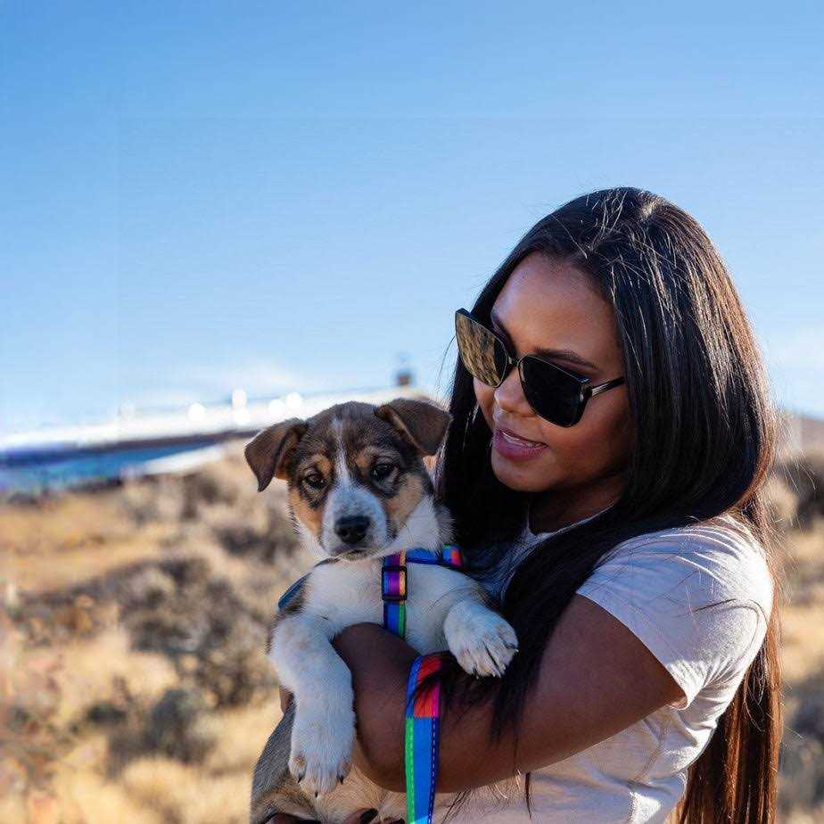 Wolfgang Man and Beast GoodDog COMFORT DOG HARNESS