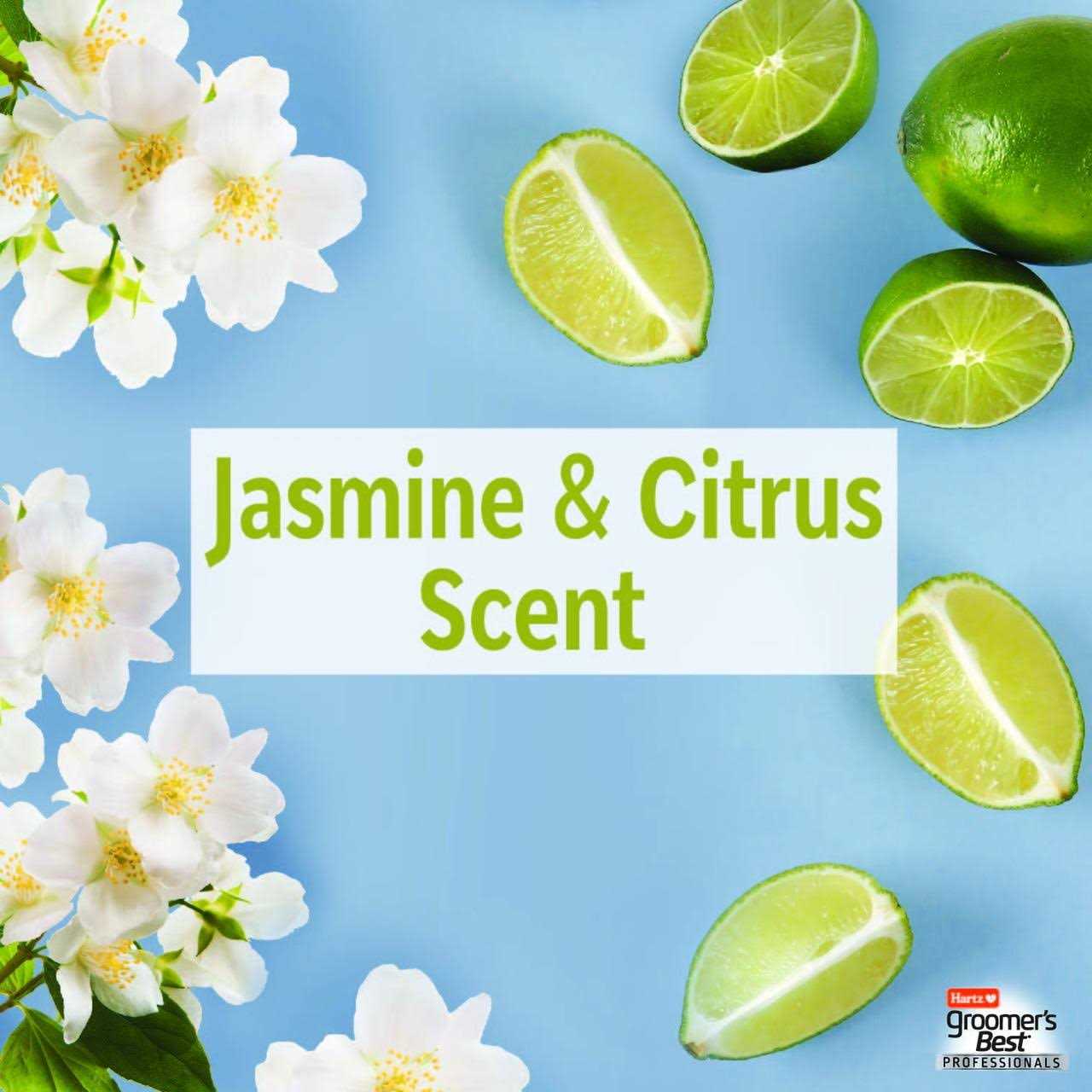 Hartz Groomer’s Best Professionals Anti-Dandruff Shampoo