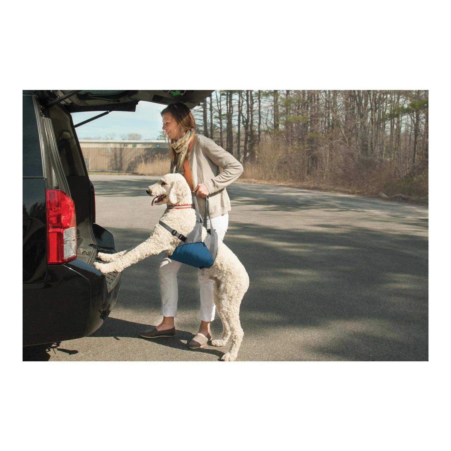 Kurgo Up & About Dog Lifter
