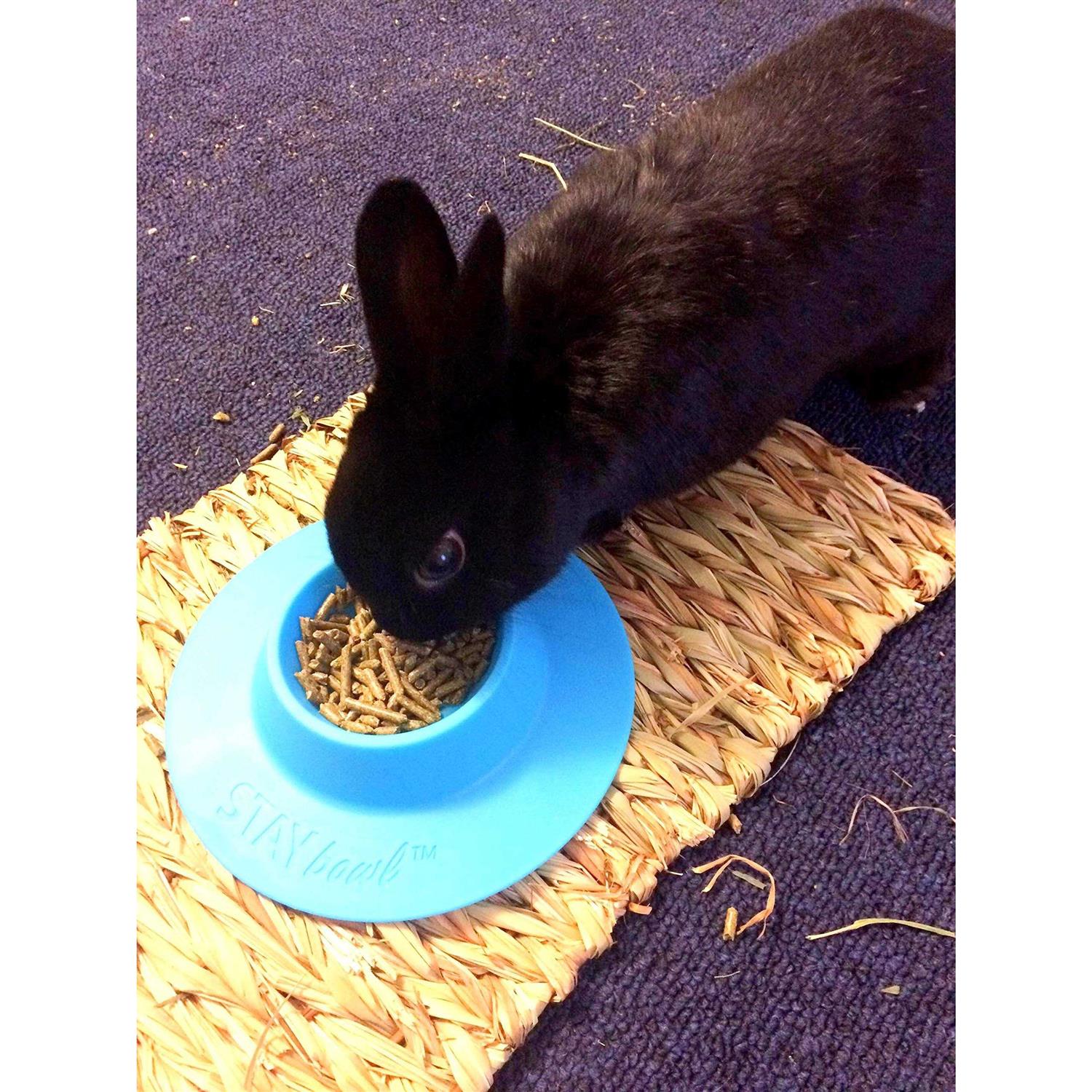 STAYbowl Tip-Proof Bowl for Guinea Pigs and Small Pets