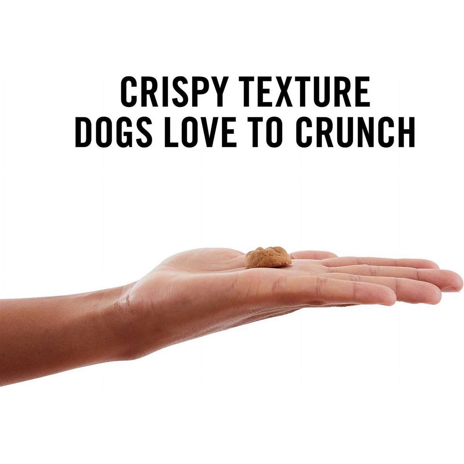 American Journey Peanut Butter Recipe Grain-Free Oven Baked Crunchy Biscuit Dog Treats