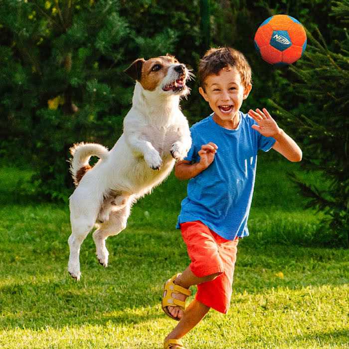 Nerf X-Weave Soccer Squeak Ball Dog Toy