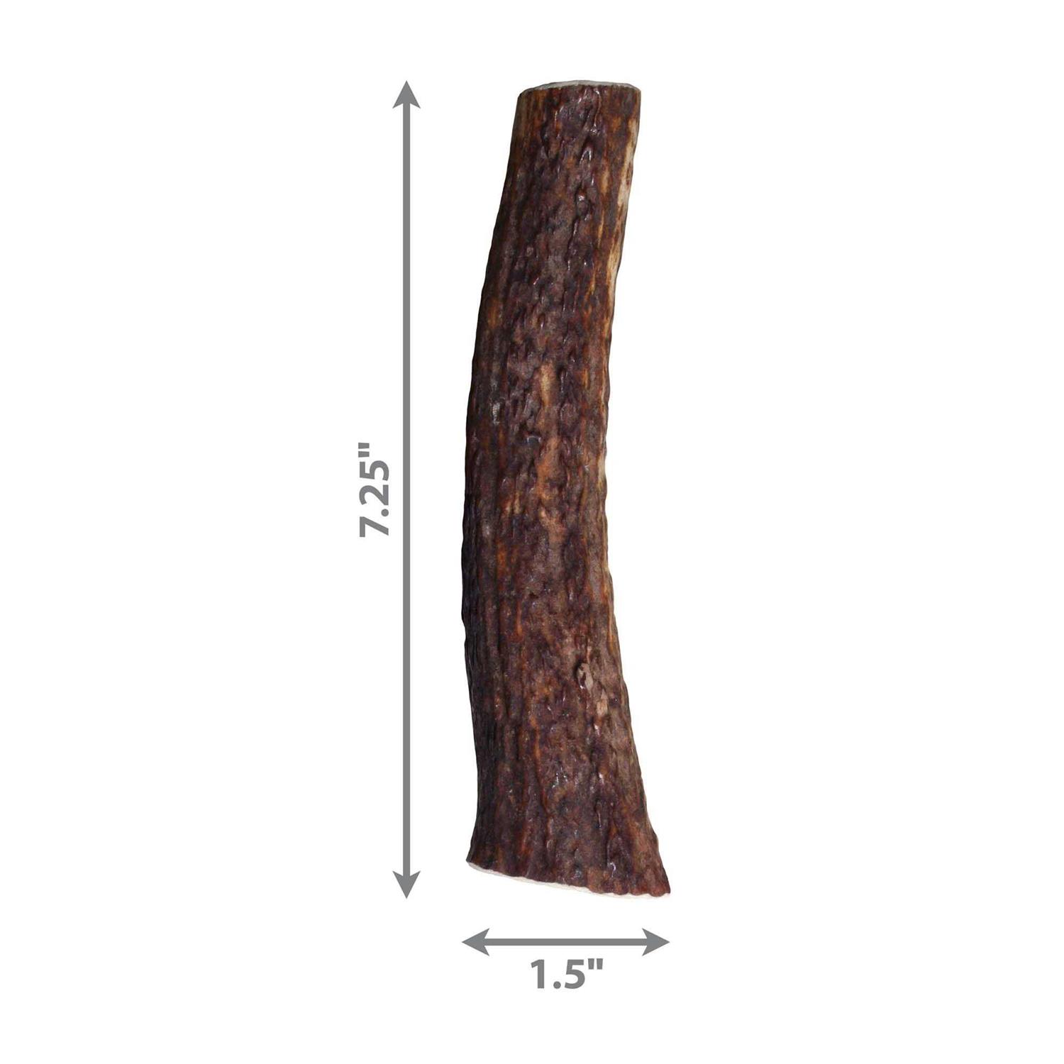 Kong Whole Wild Elk Antler
