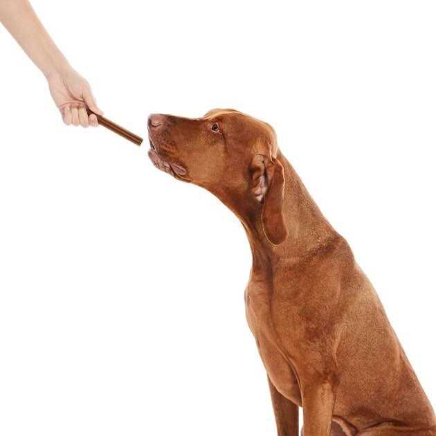 True Acre Foods All-Natural Dental Chew Sticks