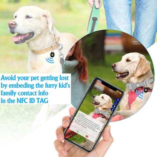 PATPET P650 Remote Training Collar for Small Medium Large Dogs Safe Shock