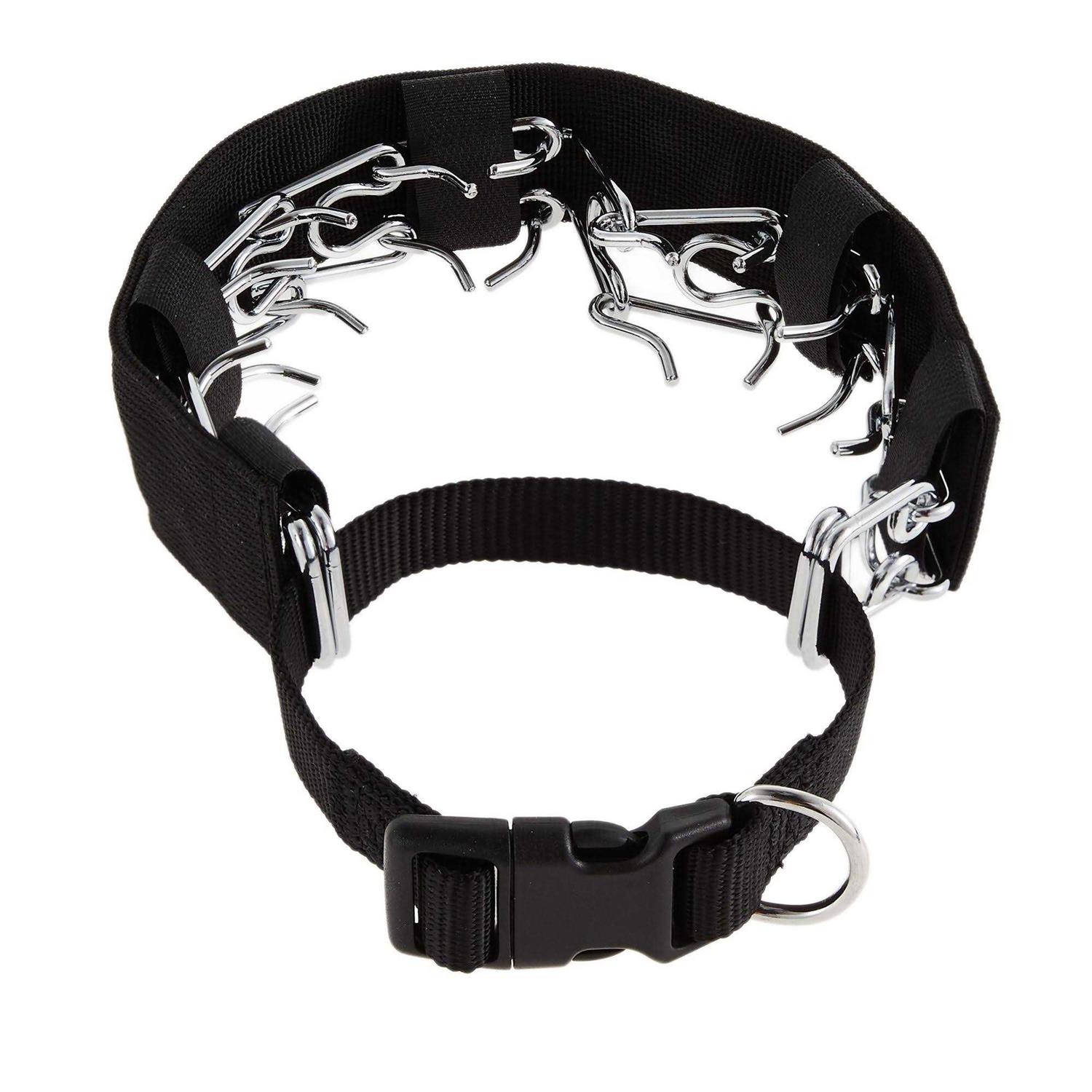 Top Paw Heavy-Duty Pinch Training Dog Collar