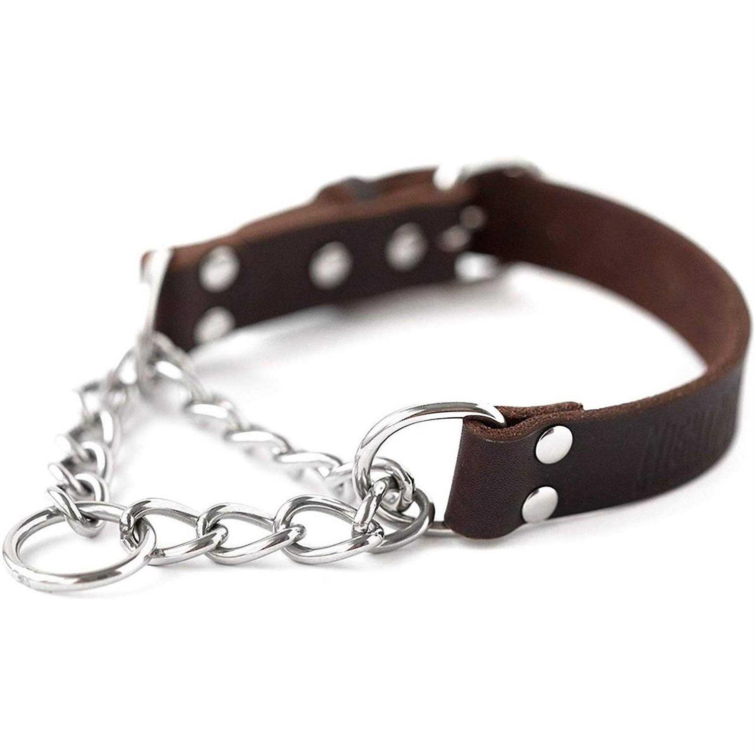 Mighty Paw Leather Collar Martingale Collar