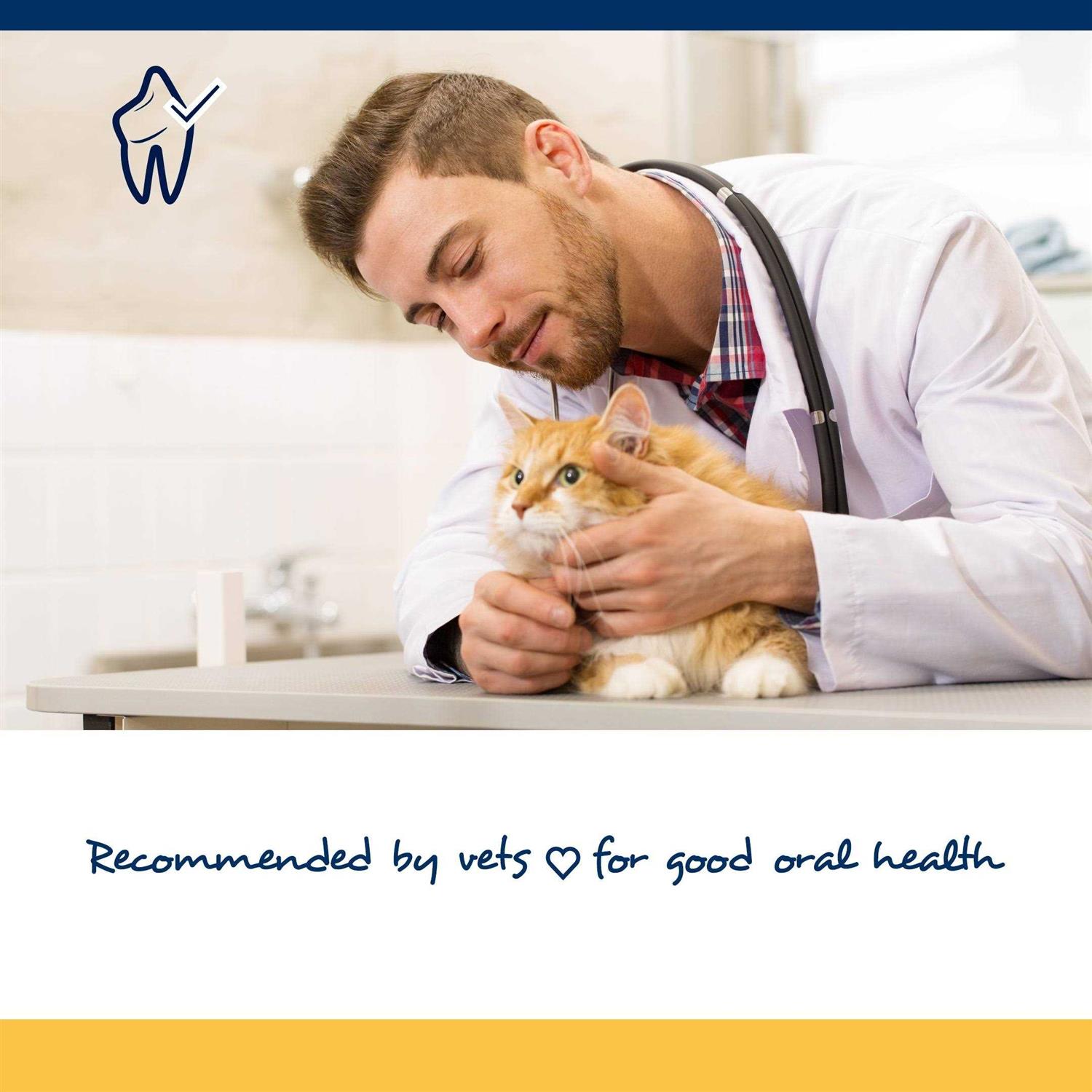 ProDen PlaqueOff Soft Chews for Cats