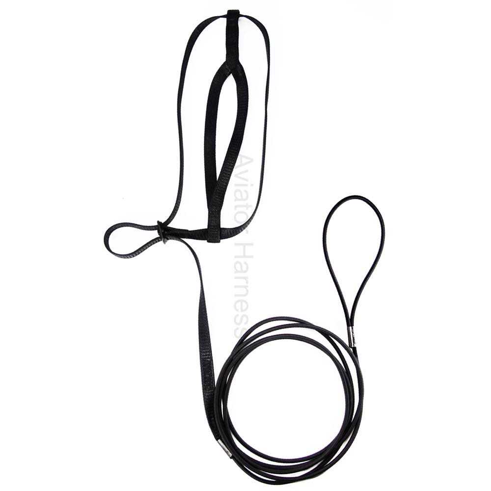 The Aviator Bird Harness and Leash