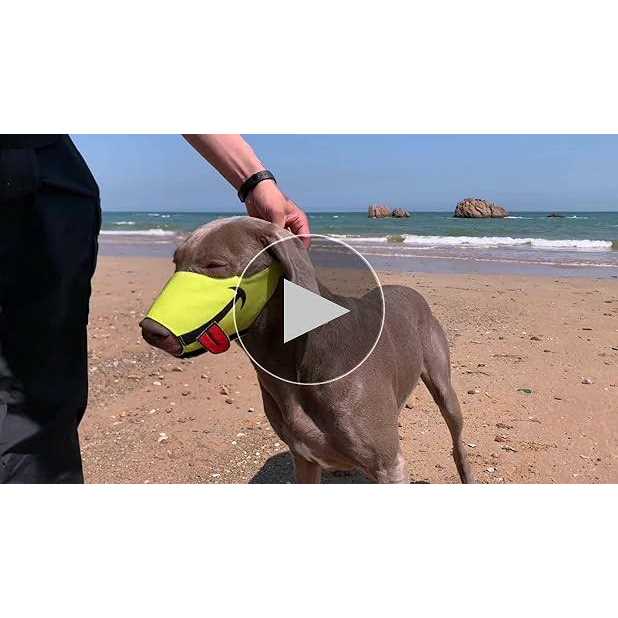 N32 Dog Muzzle Smiley Face Muzzle with Soft Breathable Air Mesh Nylon