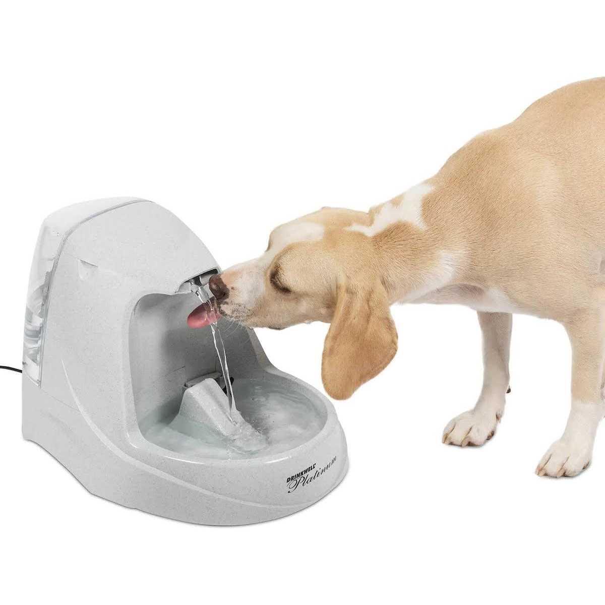 Drinkwell Platinum Pet Fountain