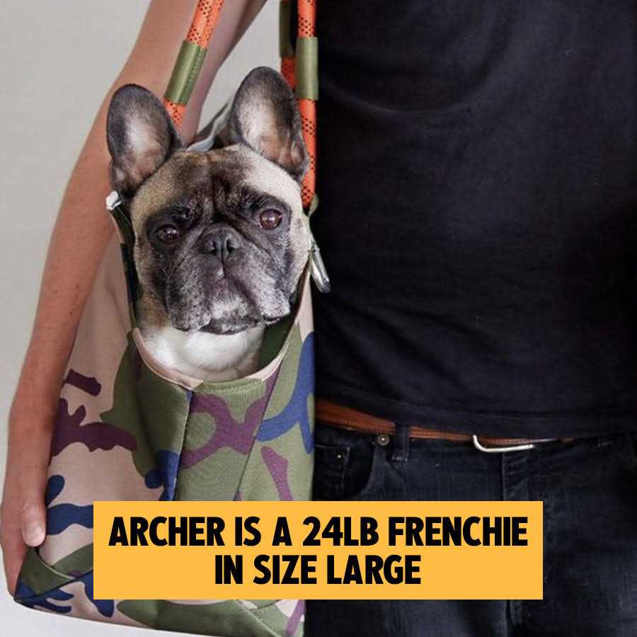 Roverlund Out-and-About Pet Tote