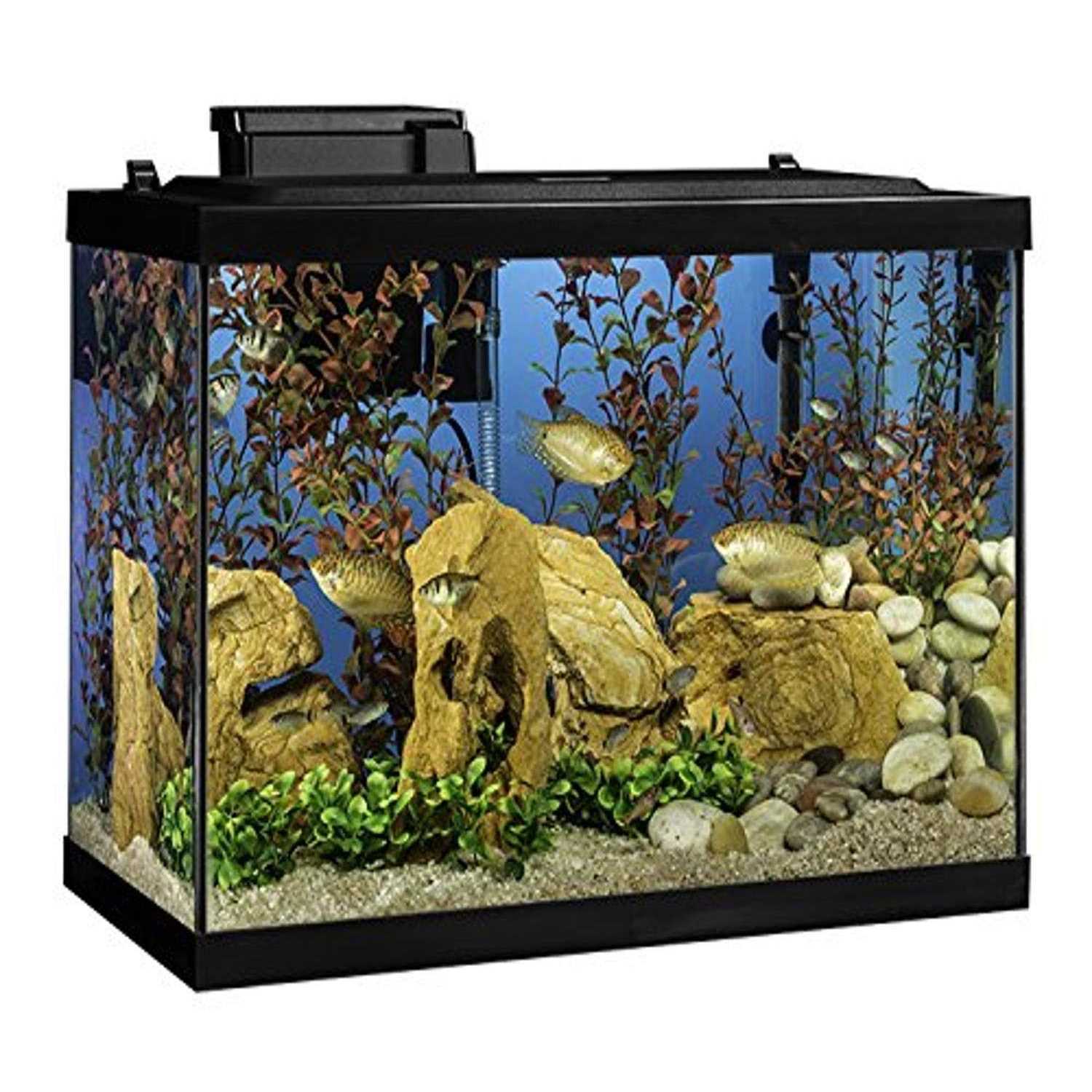 Tetra NV33821 Aquarium 20 Gallon Fish Tank Kit