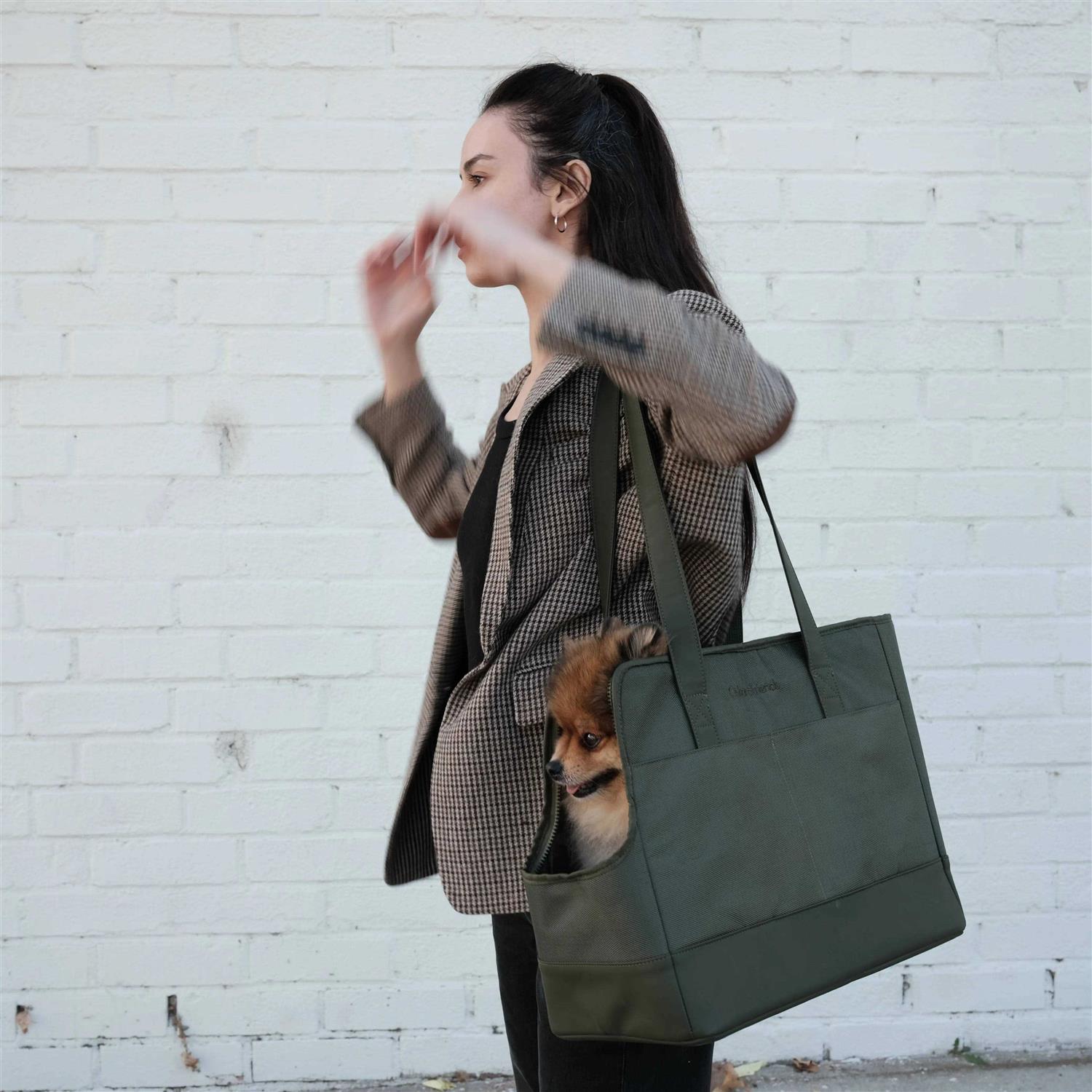 Pet Tote Bag for Small Dogs and Cats by Oskar&Friends