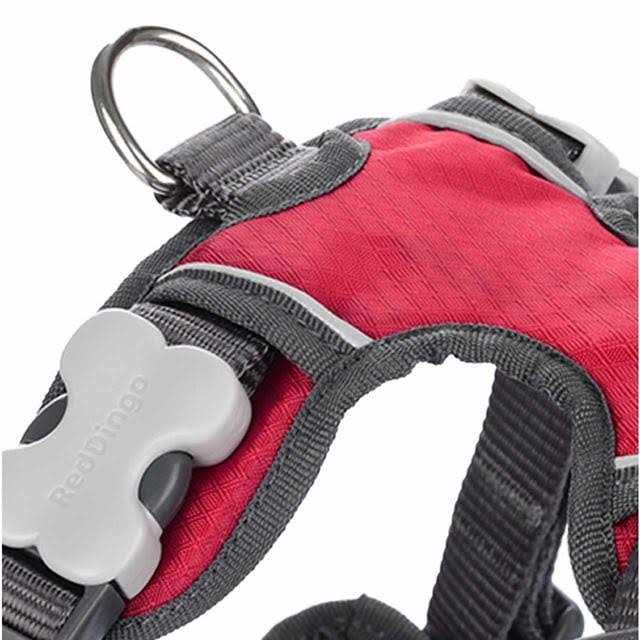 Dog Harness Red Dingo Padded