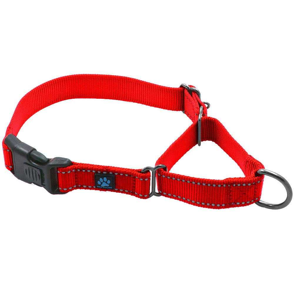 Max and Neo Nylon Martingale Collar We Donate a Collar to a Dog Rescue for Every Collar Sold