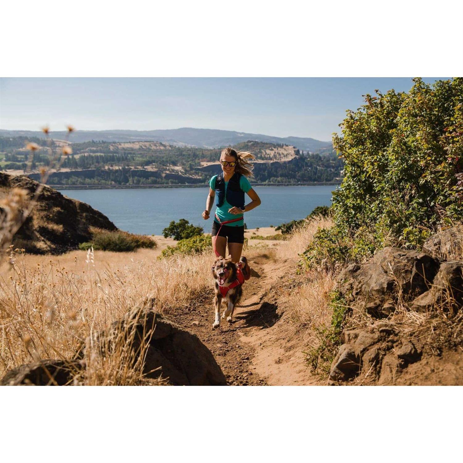 Ruffwear Switchbak Harness