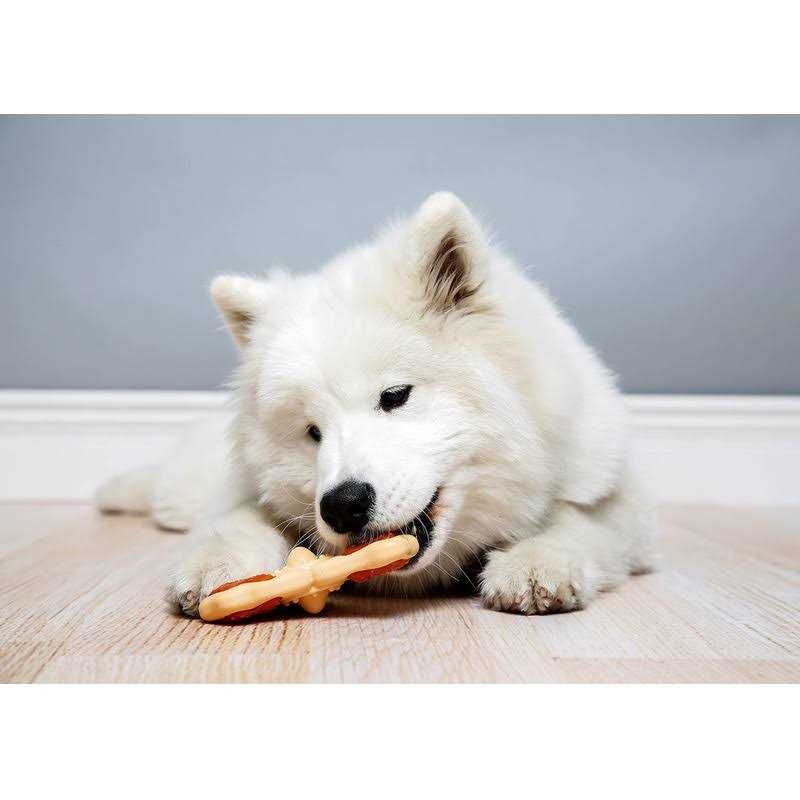 Hartz Chew n Clean Tri-Point Chew Toy