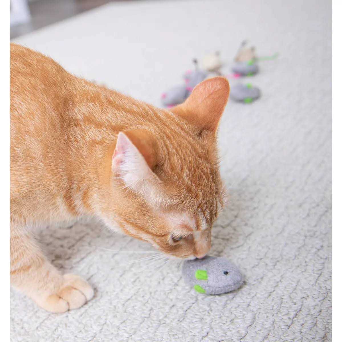 SmartyKat Skitter Critters Catnip Toys