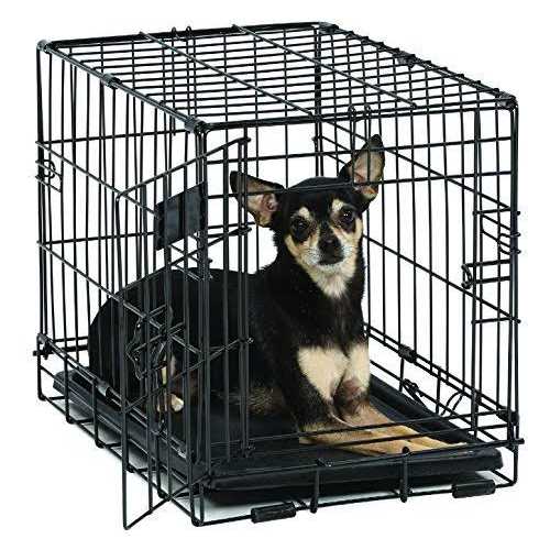 Midwest Single Door iCrate Dog Crate