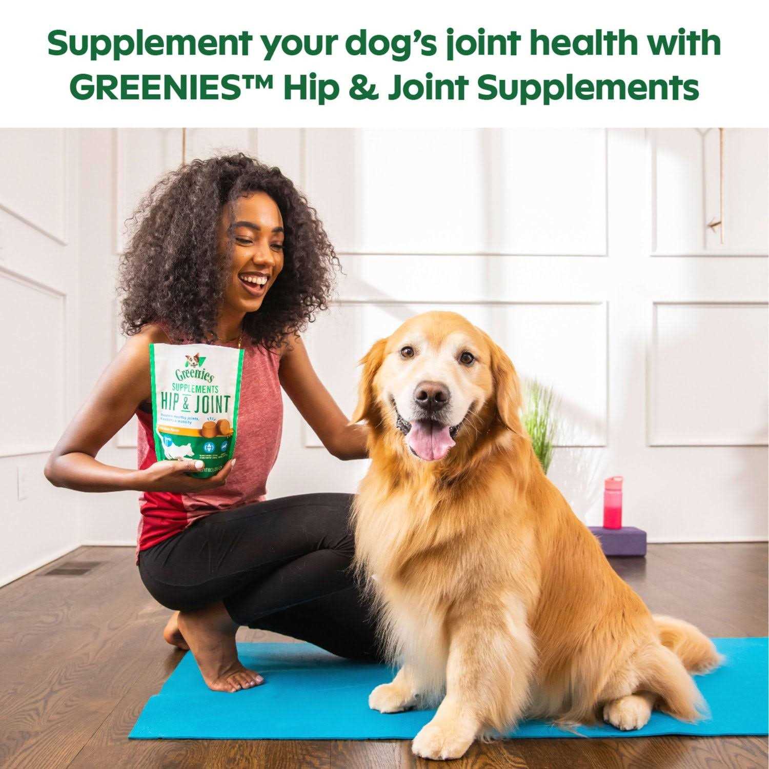 Greenies Supplements Hip & Joint for Dogs