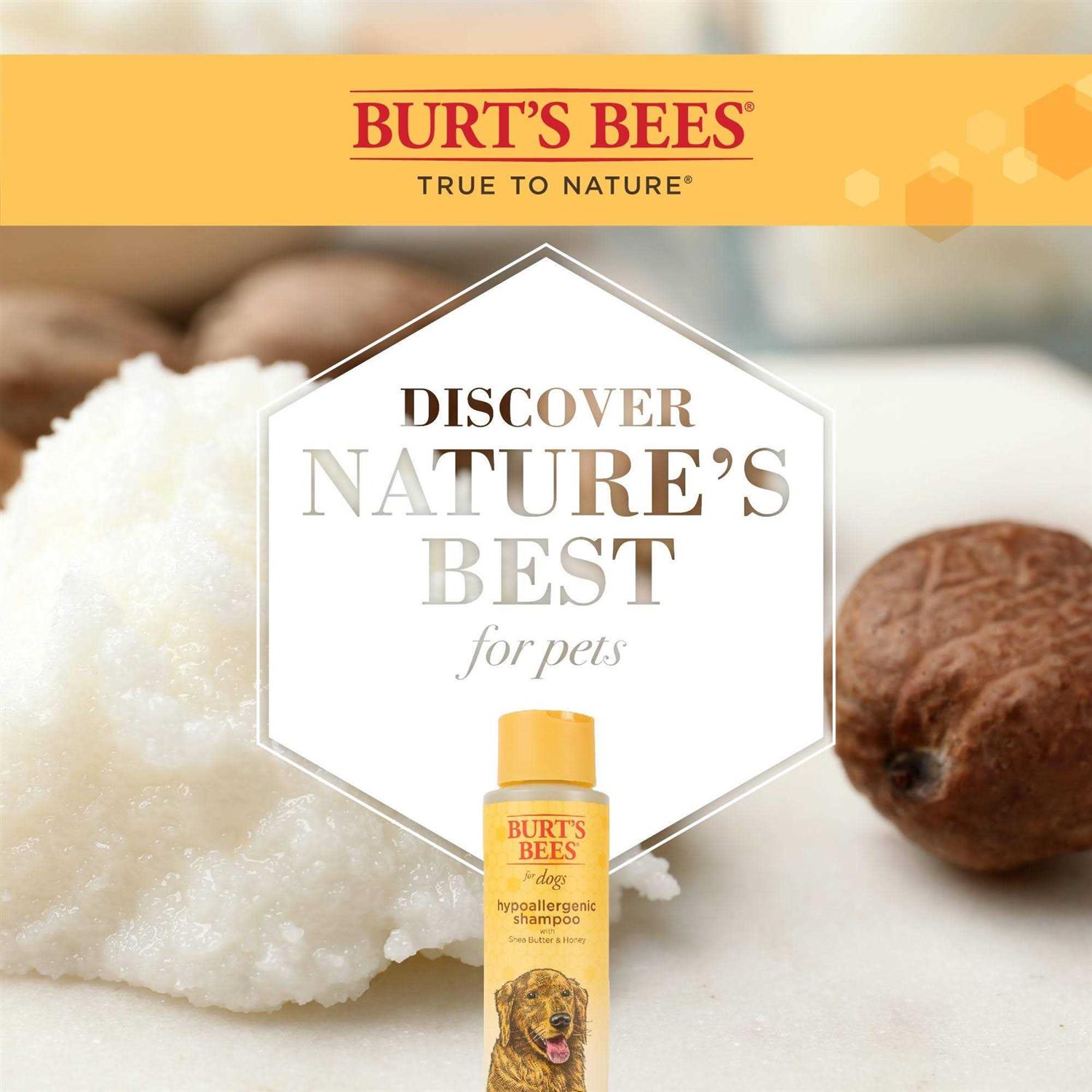 Burt’s Bees Shampoo