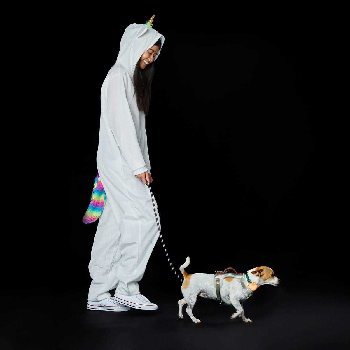 Reddy Reflective Camo Dog Harness