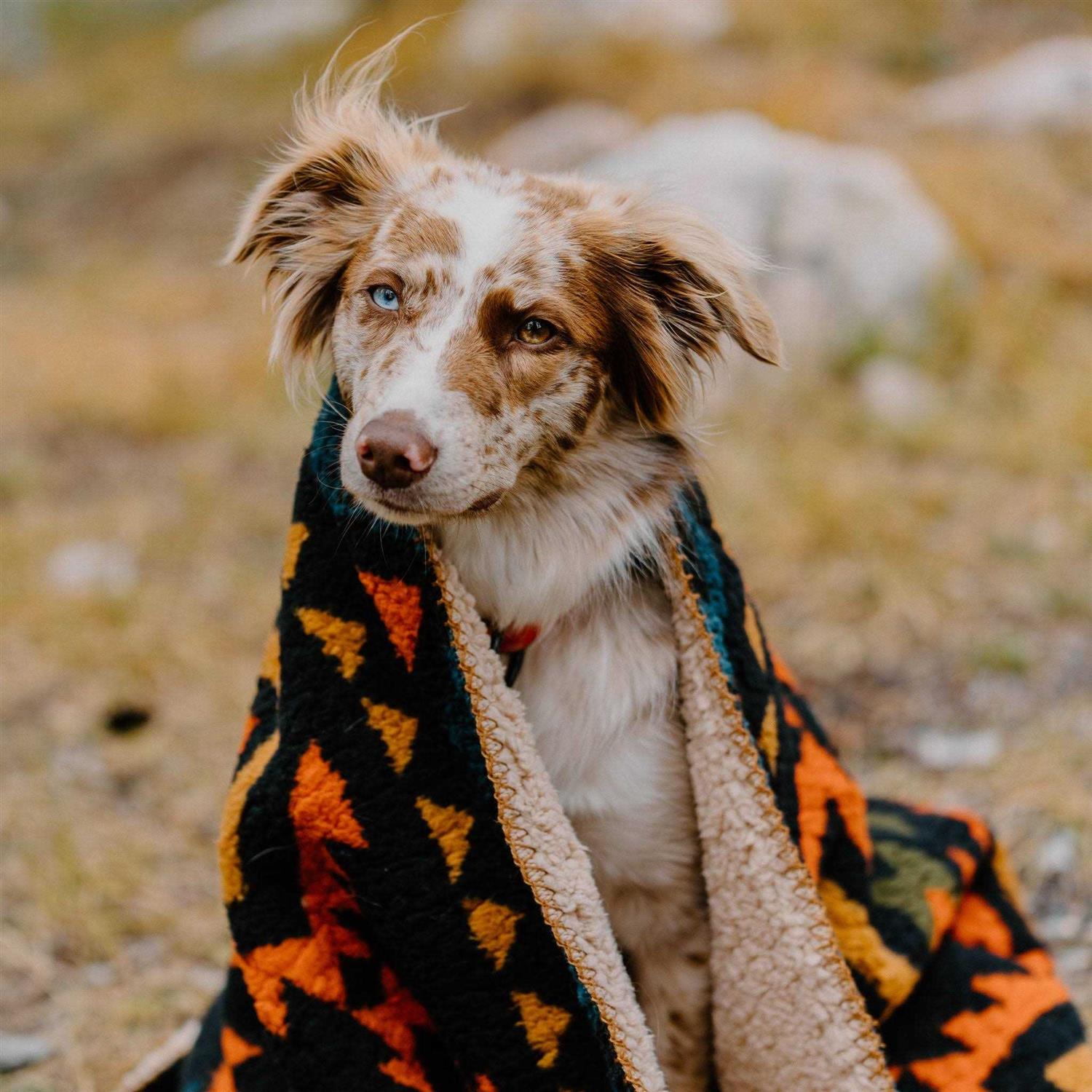 Wilderdog Sherpa Fleece Waterproof Blanket