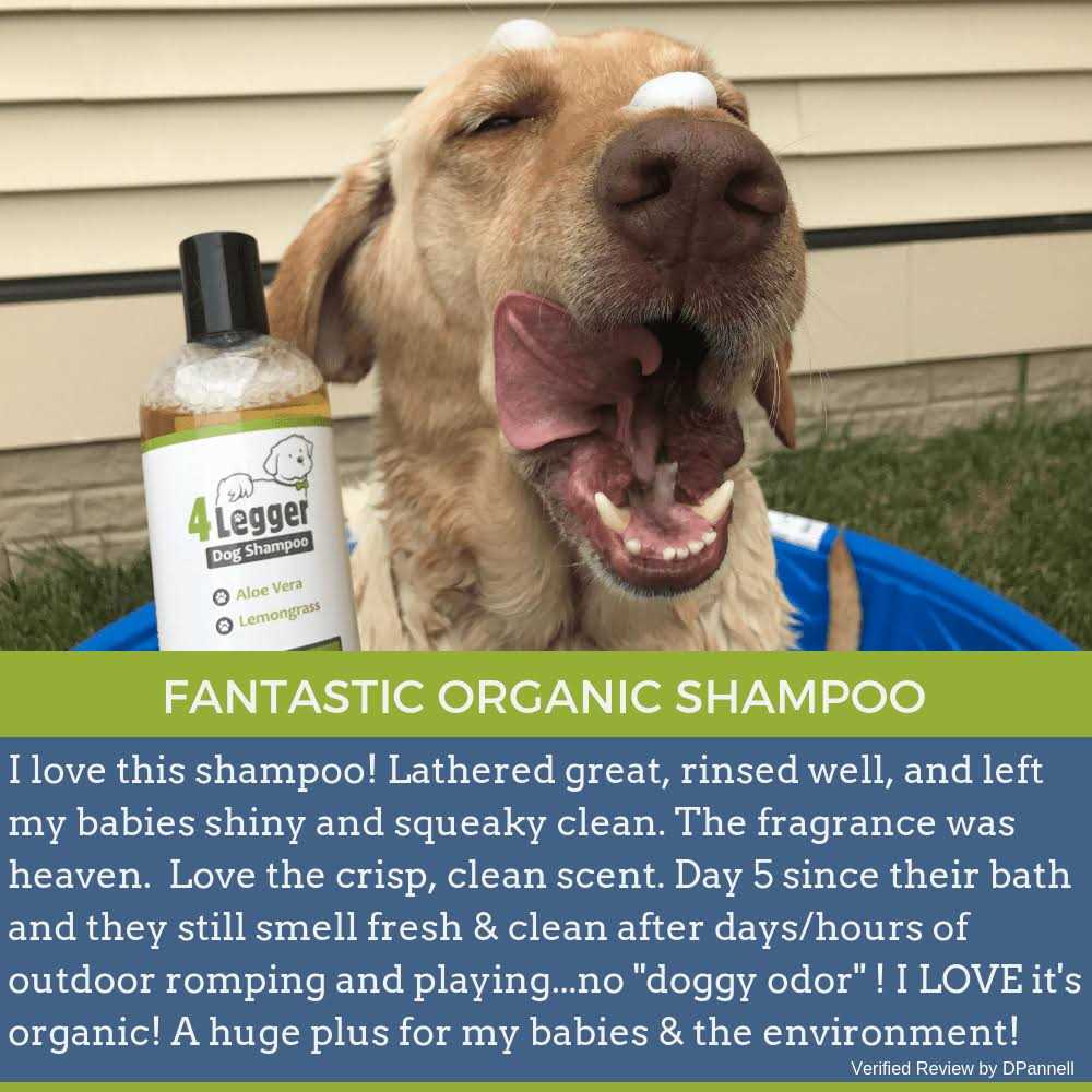 4-Legger Hypoallergenic Dog Shampoo with Organic Lemongrass