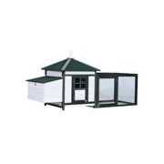 PawHut Wooden Chicken Coop Hen House & Rabbit Hutch, White/Green