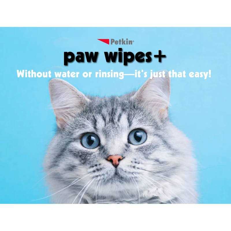 Pet MD Chlorhexidine Antiseptic Dog & Cat Wipes