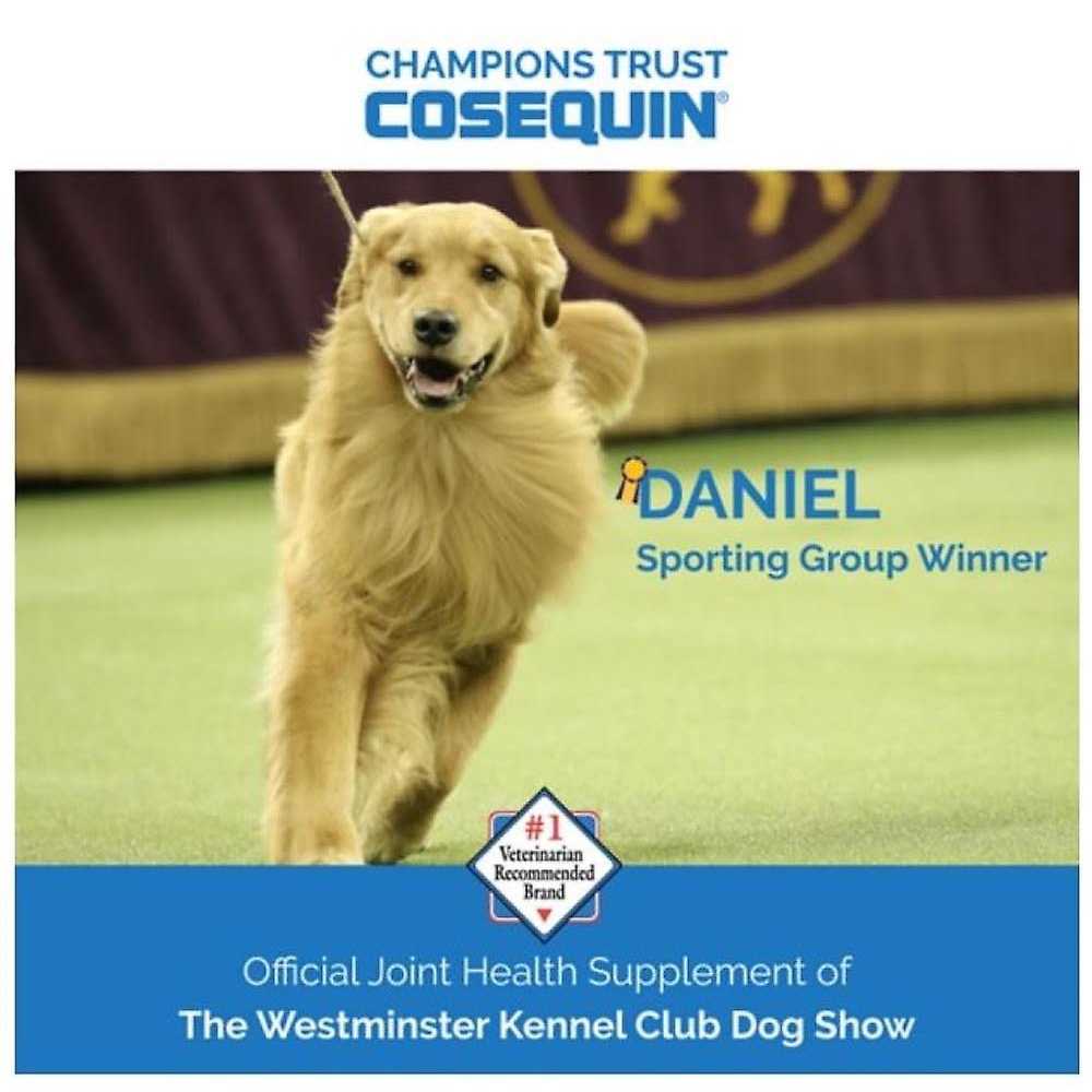 Nutramax Laboratories Cosequin Professional Joint Health Dog Supplement