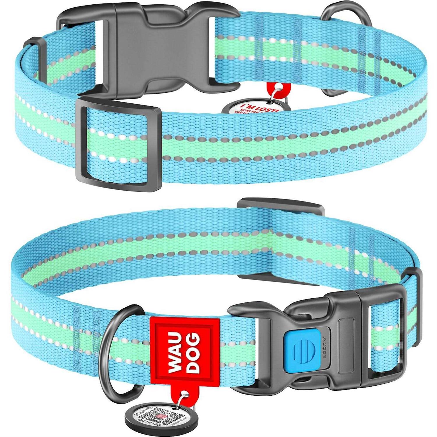 WAUDOG Glow in the Dark QR Passport Nylon Standard Dog Collar Blue