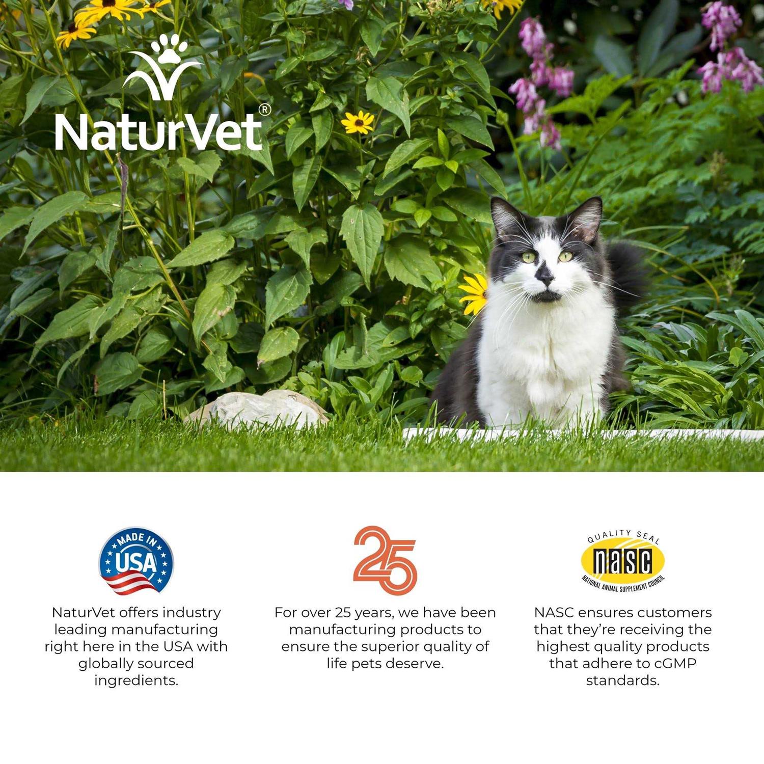NaturVet Hemp Allergy Aid Soft Chews Cat Supplement
