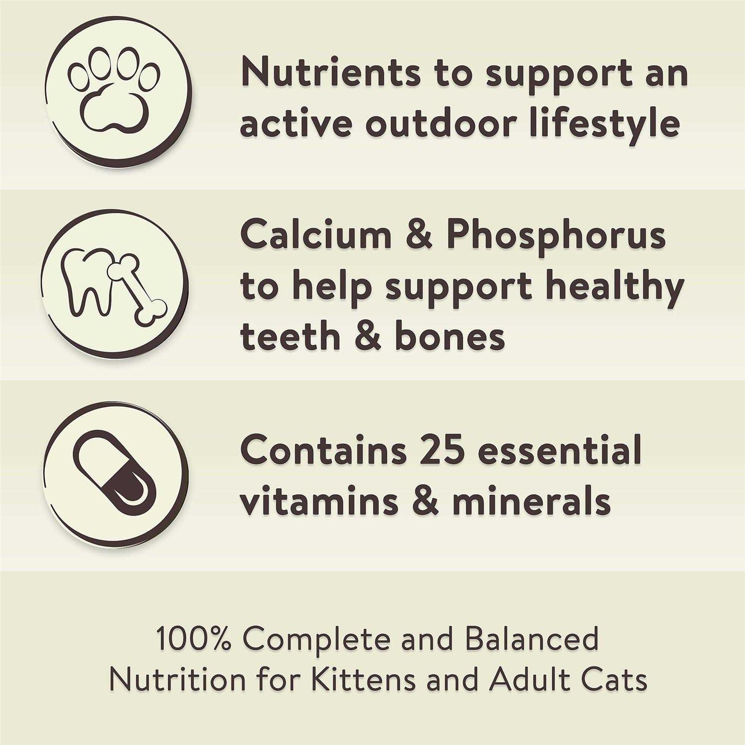 Special Kitty Outdoor Formula Dry Cat Food