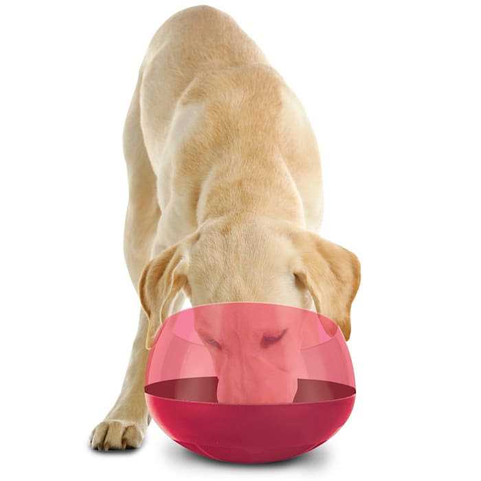 BLACK+DECKER Burgundy Rocking Interactive Slow Feeder Dog Bowl