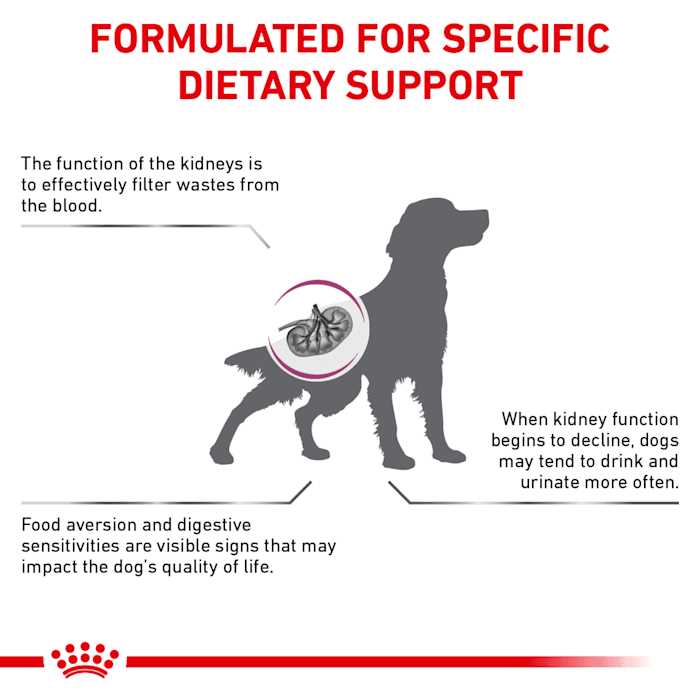 Royal Canin Veterinary Diet Renal Support Dry Dog Food