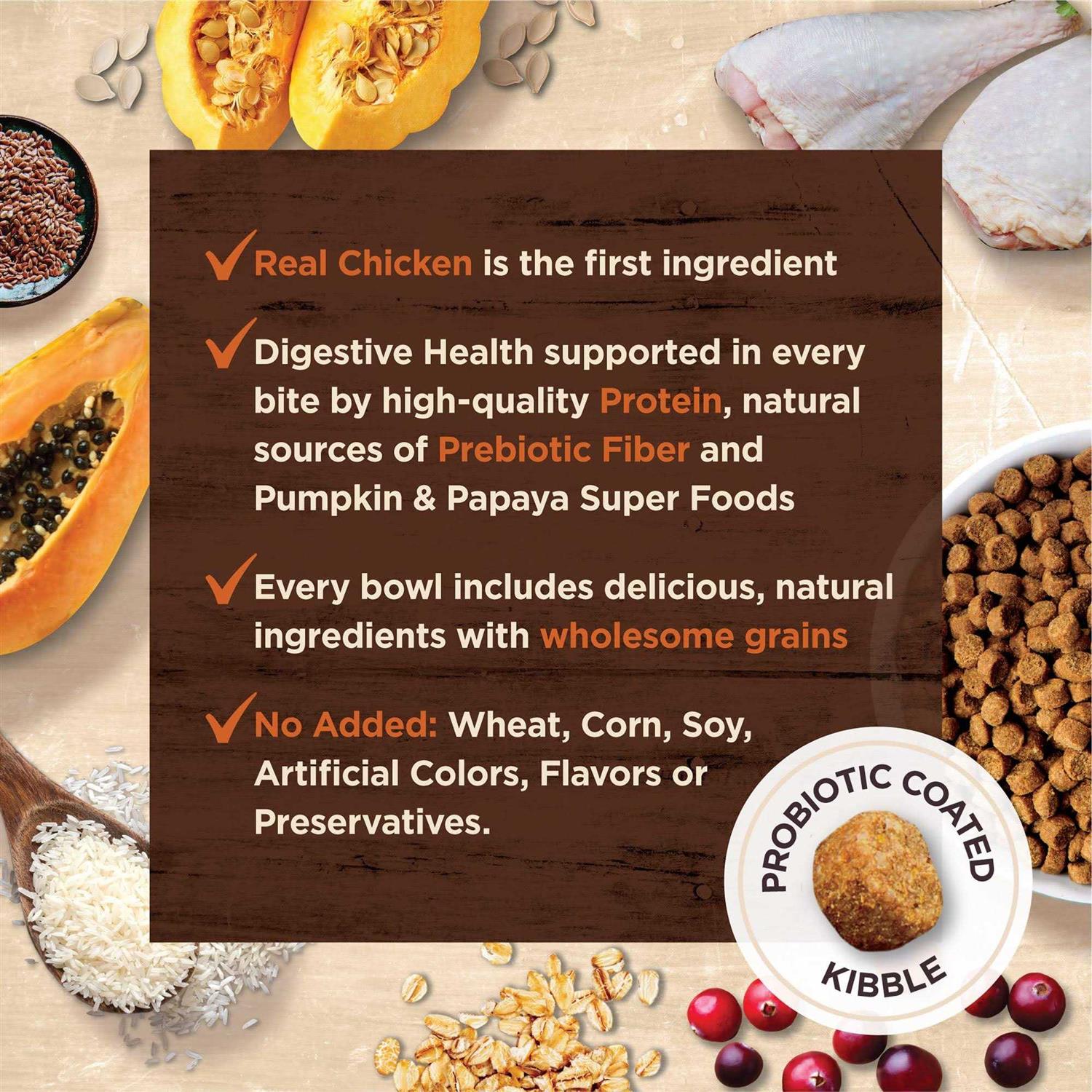 Wellness Core Digestive Health Chicken & Rice Dry Cat Food