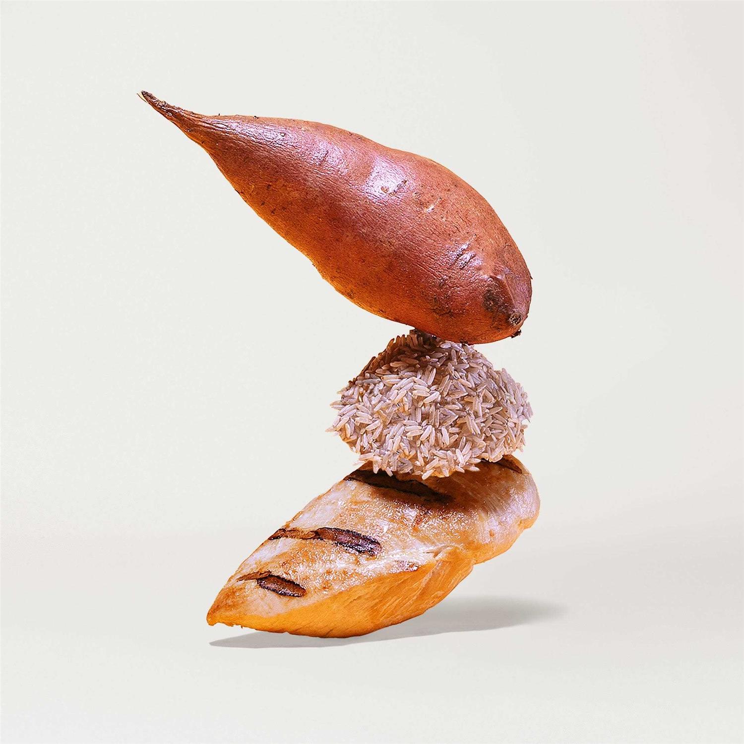 Jinx Chicken Brown Rice & Sweet Potato Dry Dog Food