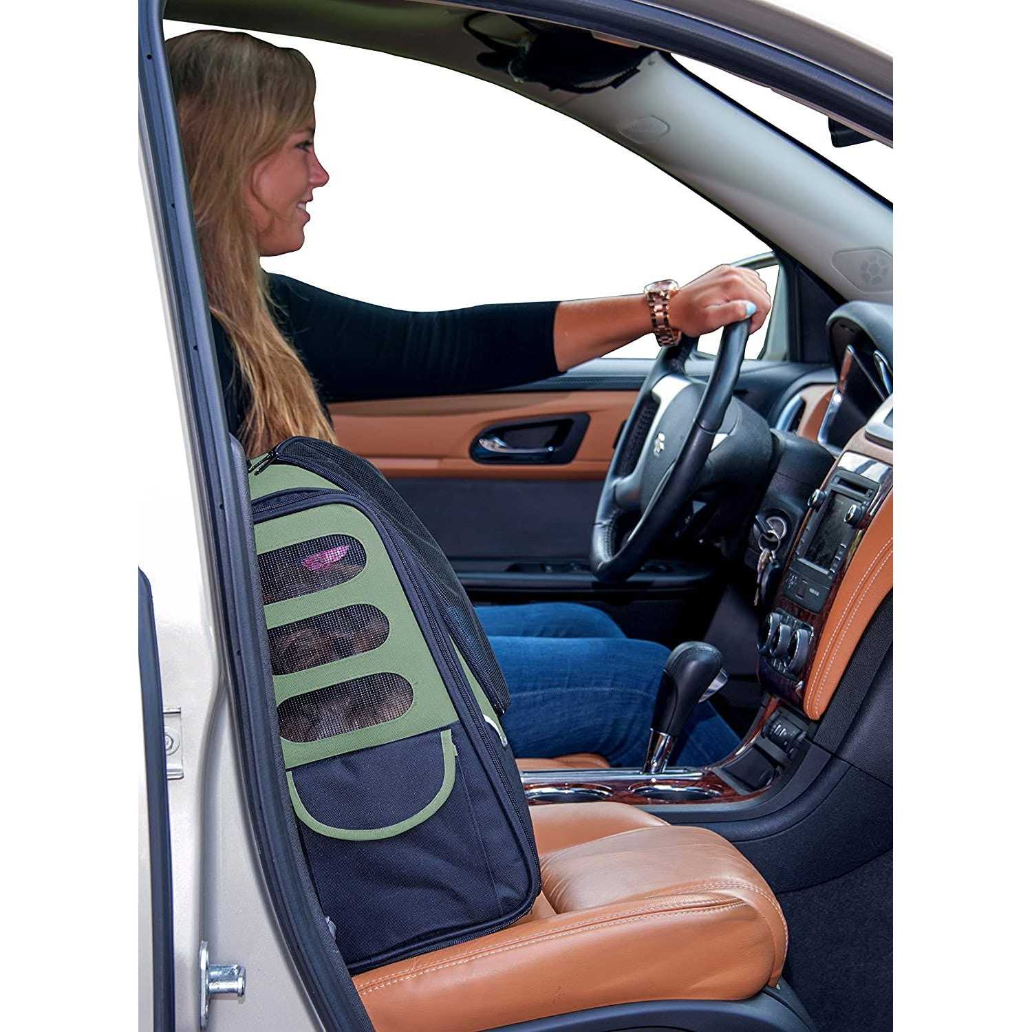 Gear I-GO2 Pet Carrier