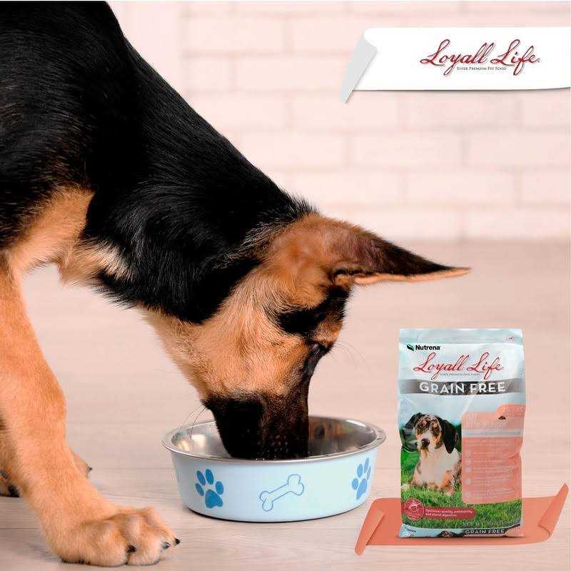 Loyall Life Grain Free Salmon Sweet Potato Dog Food 30 Pounds