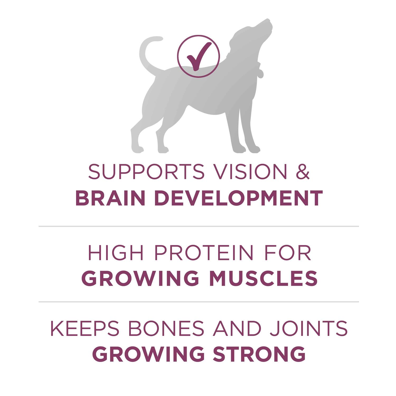 Purina ONE Healthy Puppy Formula High Protein Dry Dog Food