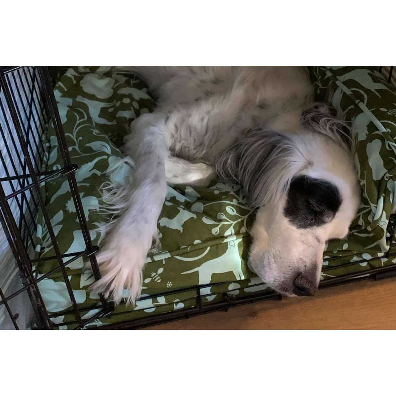 Molly Mutt Wool-Filled Dog Crate Pad