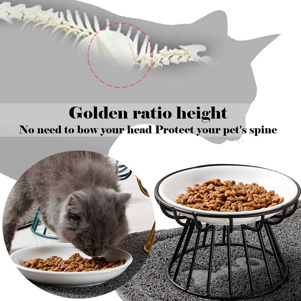 Wellbro Cat Bowls, Elevated Cat Bowl, Raised Ceramic Cat Dish with Metal Stand, Pet Water or Food Feeding Station for Indoor Cats