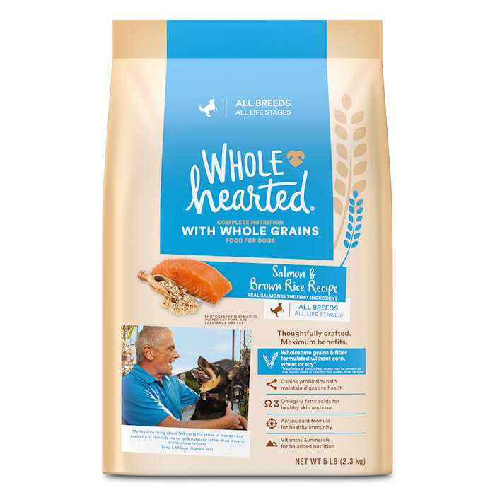 WholeHearted Whole Grains Salmon Recipe Dry Dog Food
