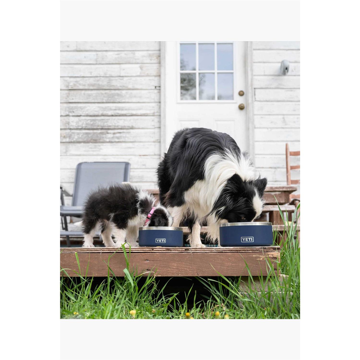 Boomer Dog Bowl Yeti