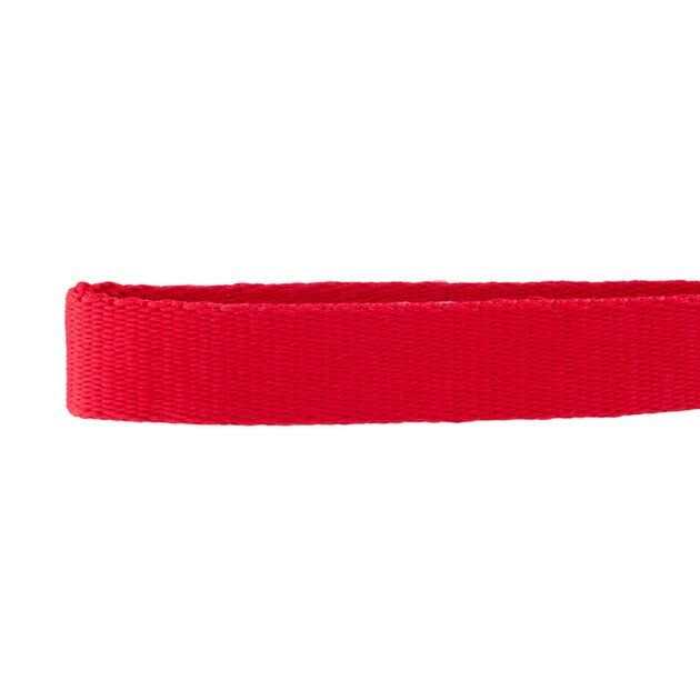 GoTags Nylon Personalized Dog Collar
