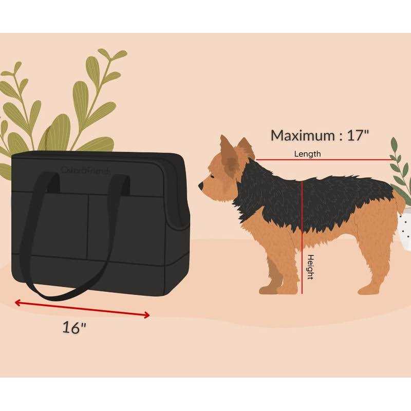 Pet Tote Bag for Small Dogs and Cats by Oskar&Friends